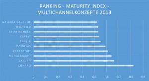 Multichannelkonzepte 2013