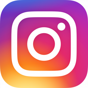 Icon von Instagram